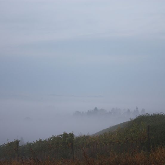 Bild enthält, Nature, Outdoors, Weather, Fog, Mist