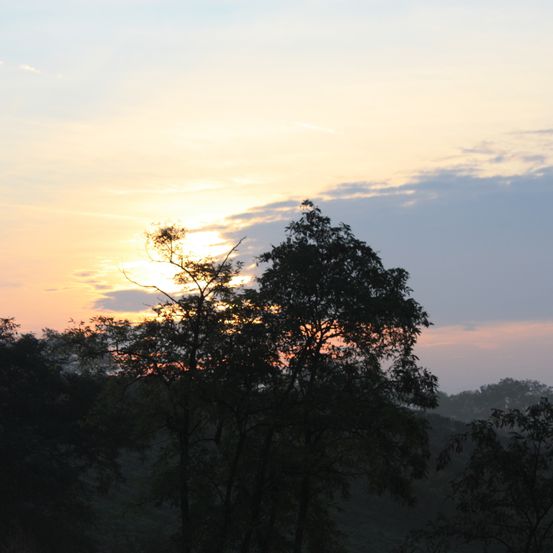 Bild enthält, Nature, Outdoors, Sky, Sunset, Sunlight, Silhouette, Sunrise, Flare, Tree, Scenery