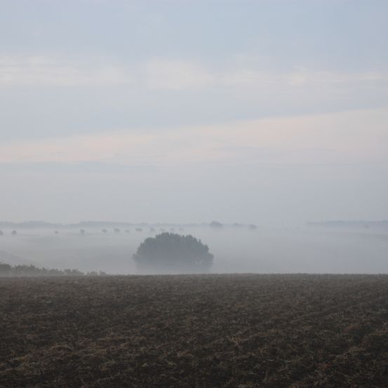 Bild enthält, Nature, Outdoors, Weather, Fog, Mist