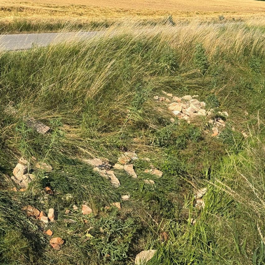 Ein Grasfeld mit einer Ansammlung von Steinen in der Mitte. Hohes Gras umgibt das Gebiet. Das Feld wird von einem breiten, leeren Feld im Hintergrund begrenzt.