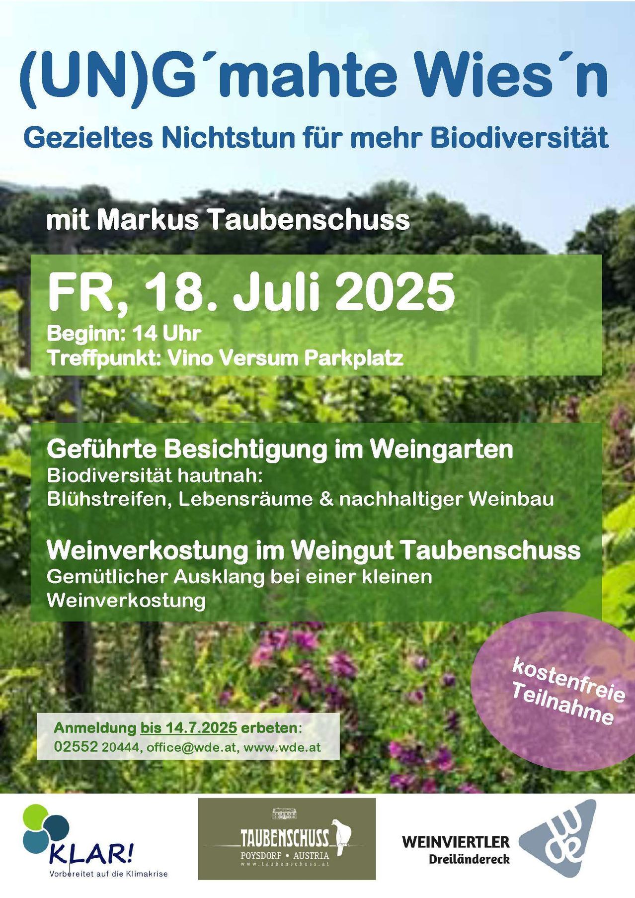 Eine Anzeige für eine geführte Besichtigung eines Weingartens von Markus Taubenschuss am 18. Juli 2025, Beginn 14 Uhr. Der Fokus liegt auf Biodiversität mit Blühstreifen, Lebensräumen und nachhaltigem Weinbau. Weinverkostung im Weingut. Kostenlose Anmeldung.