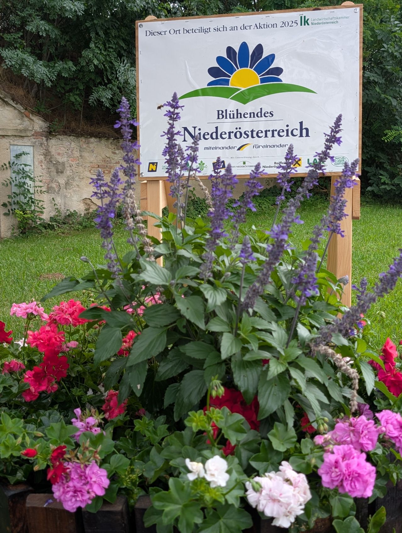 Ein Schild fur Bluhende Niederosterreich steht in einem Garten mit verschiedenen Blumen. Das Schild hat eine Sonne, eine Blume und Text. Ein Holzpfahl halt das Schild.