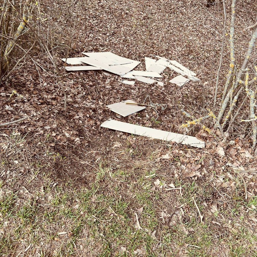 Ein mit trockenen Blättern und kleinen Baumzweigen bedeckter Boden. Einige Pappstückchen sind auf dem Boden verstreut.
