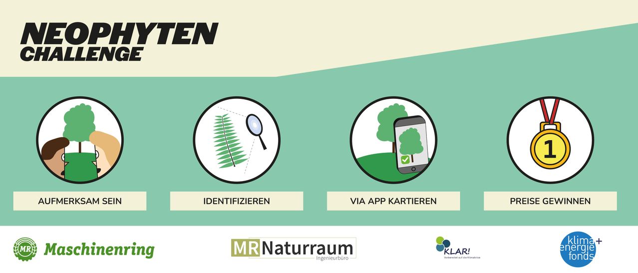 Infographic showing two methods to identify plants: using a magnifying glass and via an app on a smartphone. The app shows a map with a checked tree icon.