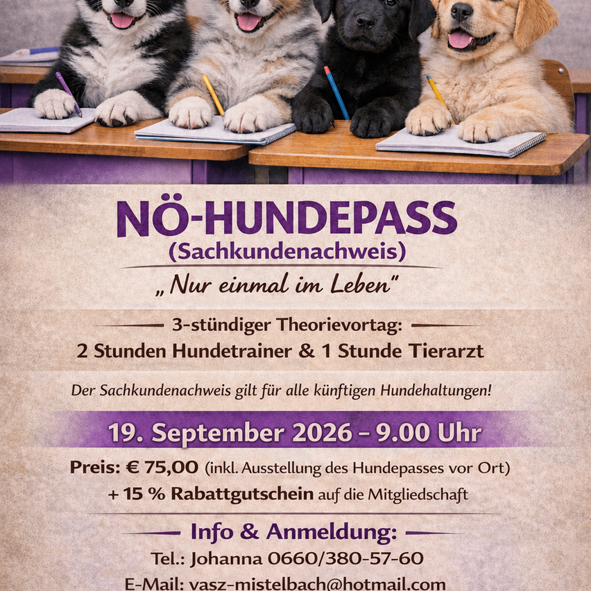 A poster featuring four puppies sitting at desks, holding pencils and notebooks. The text reads 'No-Hundepass (Sachkundenachweis)' with a date and price information. It includes a contact number and email for registration.