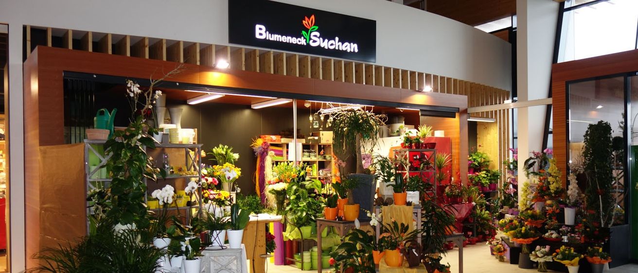 Bild enthält, Flower, Flower Arrangement, Plant, Flower Bouquet, Potted Plant, Architecture, Building, Shop