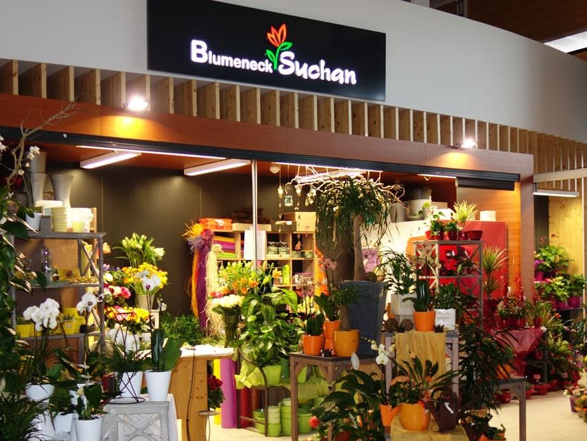 Bild enthält, Flower, Flower Arrangement, Plant, Flower Bouquet, Potted Plant, Architecture, Building, Shop