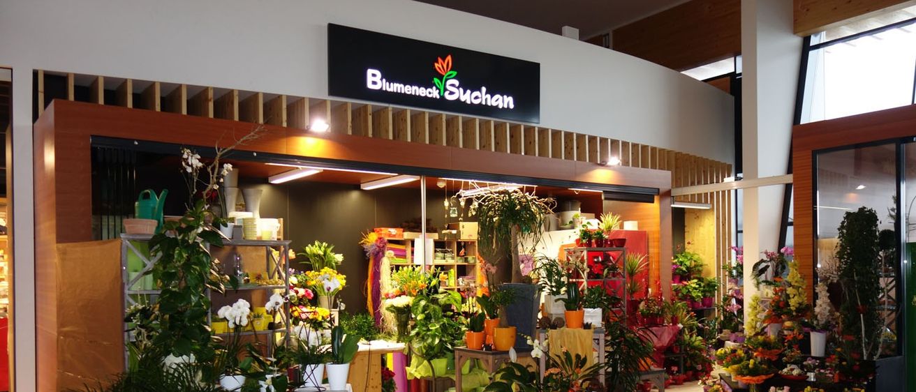 Bild enthält, Flower, Flower Arrangement, Plant, Flower Bouquet, Potted Plant, Architecture, Building, Shop