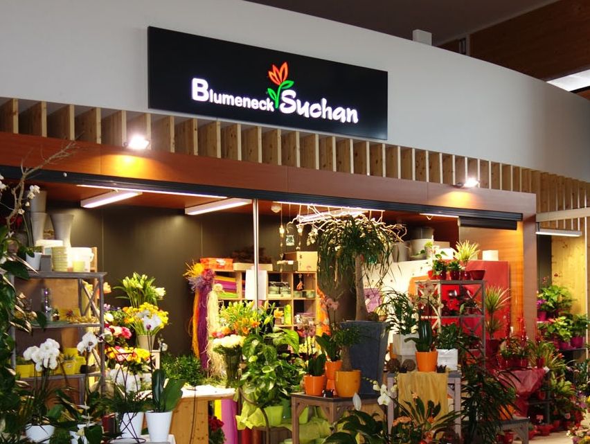 Bild enthält, Flower, Flower Arrangement, Plant, Flower Bouquet, Potted Plant, Architecture, Building, Shop