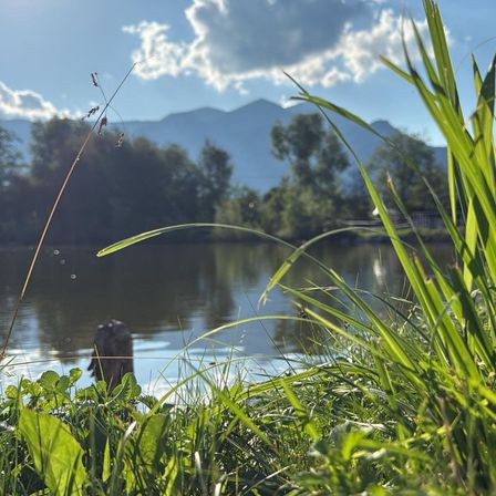Ein ruhiger Blick auf einen See mit üppigem grünem Gras und Bergen in der Ferne. Das Wasser ist ruhig und der Himmel blau mit einigen Wolken.