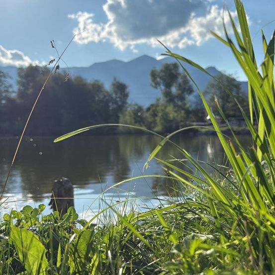 Ein ruhiger Blick auf einen See mit üppigem grünem Gras und Bergen in der Ferne. Das Wasser ist ruhig und der Himmel blau mit einigen Wolken.
