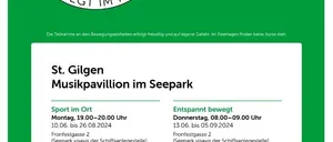 Advertisement, Poster, Person, Page, Text