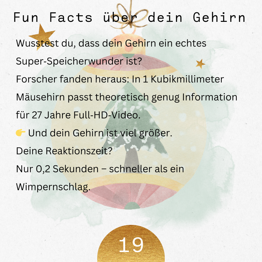 Ein farbenfrohes Infografik präsentiert lustige Fakten über das Gehirn. Es behauptet, dass das Gehirn ein Speicherwunder ist und 1 Kubikmillimeter theoretisch 27 Jahre Full-HD-Video aufnehmen kann. Es erwähnt die schnelle Reaktionszeit des Gehirns und die Zahl '19' am unteren Rand.