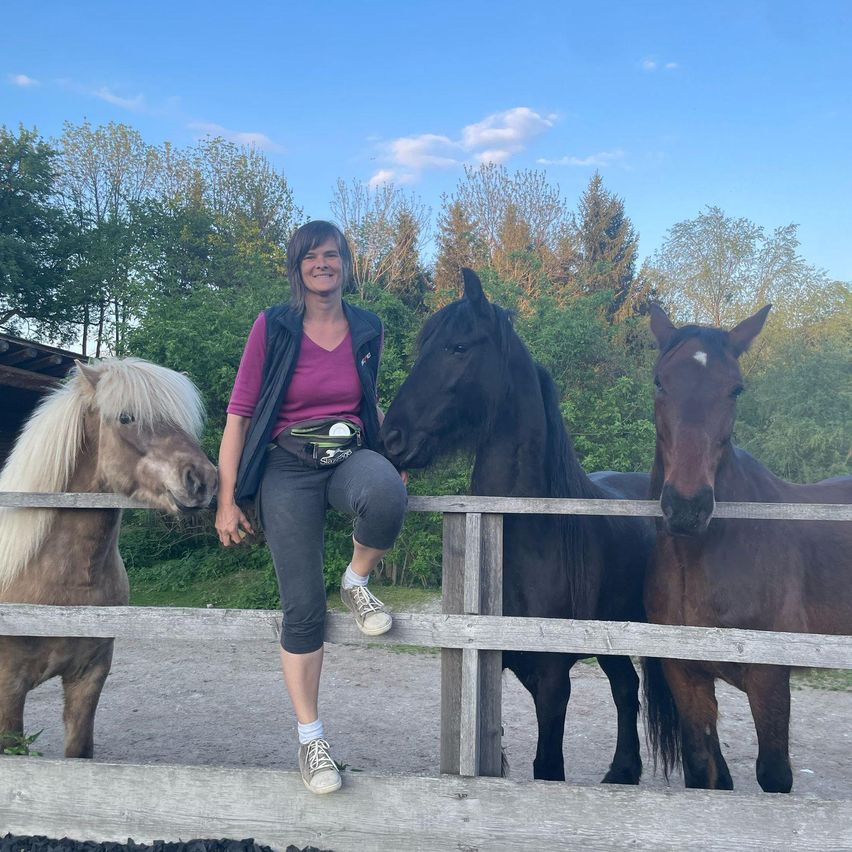 Eine Frau in einem rosa Shirt und einer schwarzen Weste sitzt auf einem Zaun mit einem kleinen Pferd, einem schwarzen Pferd und einem braunen Pferd in einem eingezäunten Bereich.