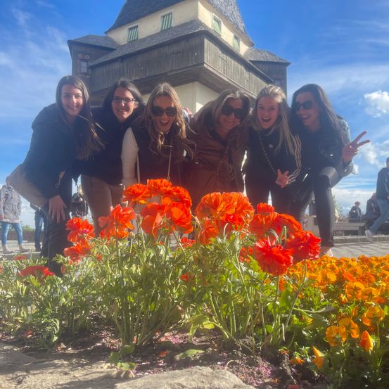 Bild enthält, Shelter, Potted Plant, Photography, Portrait, Petal, Geranium, Grass, Park, Landscape, Daisy