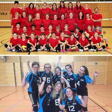 Powervolleys Freistadt-Logo