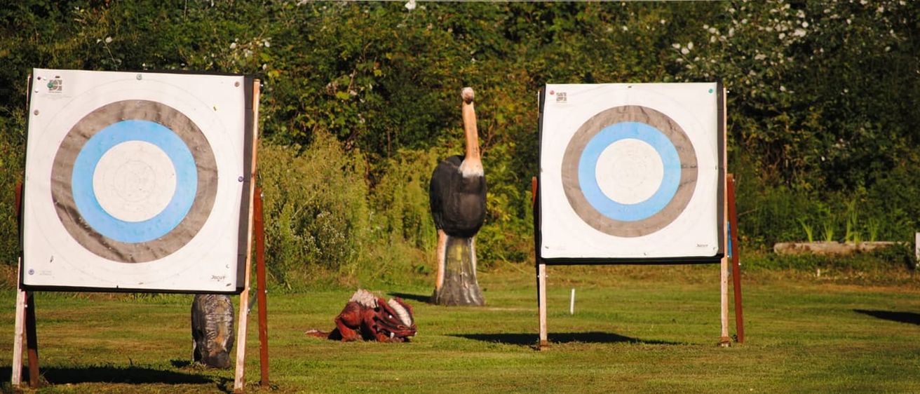 Bild enthält, Weapon, Archery, Bow, Sport, Archer, Person, Animal, Bird, Blackboard