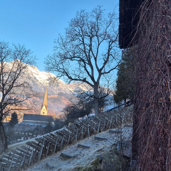 Eine Kirche mit einem Kirchturm liegt in einem Tal mit schneebedeckten Bergen im Hintergrund. Schneebedeckte Holzzäune säumen den steilen Hang.