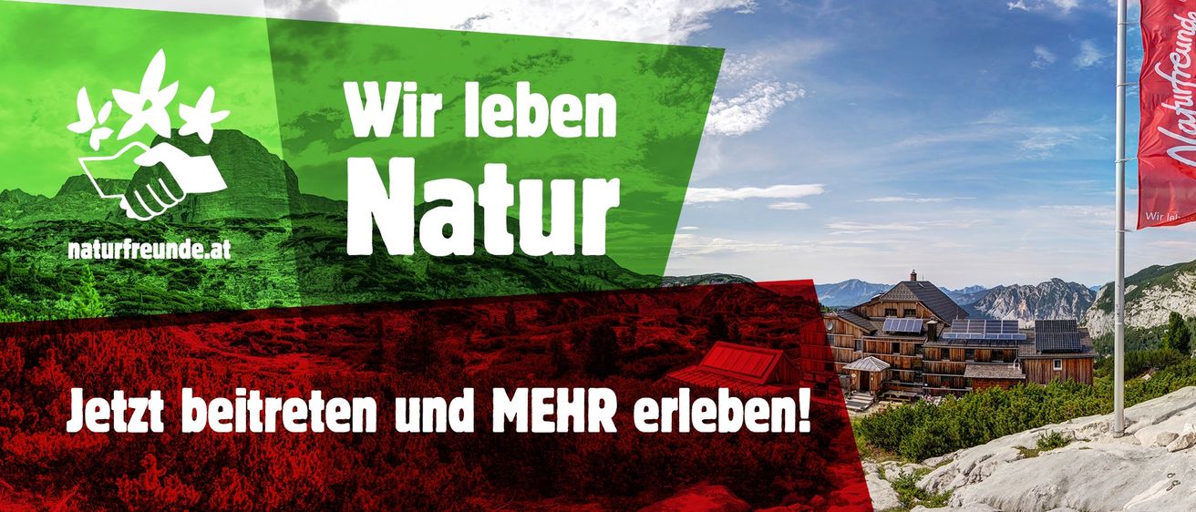 Bild enthält, Adventure, Hiking, Leisure Activities, Nature, Outdoors, Person, Scenery, Advertisement, Walking