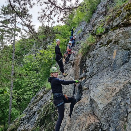 Bild enthält, Rock, Vegetation, Wilderness, Portrait, Grove, Tree, Woodland, Jungle, Cliff, Hiking