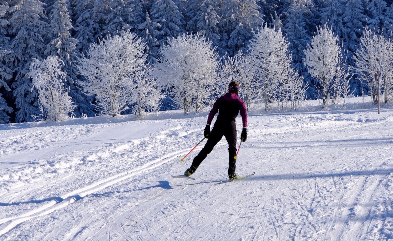 Eine Person fährt Langlauf auf einem schneebedeckten Hang mit verschneiten Bäumen im Hintergrund. Sie trägt eine lila Jacke und schwarze Hose.