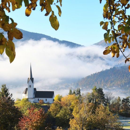 Bild enthält, Tree, Vegetation, Landscape, Scenery, Woodland, Shelter, Spire, Grass, Cloud, Sky