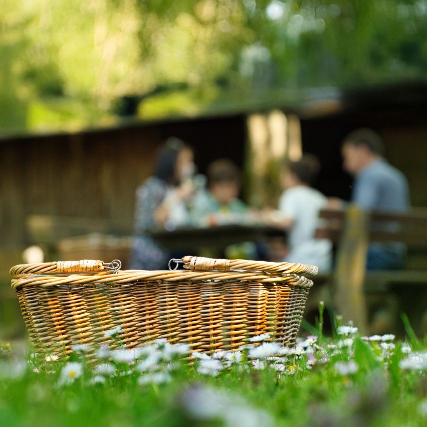 Bild enthält, Adult, Female, Person, Woman, Boy, Child, Male, Grass, Basket, Man