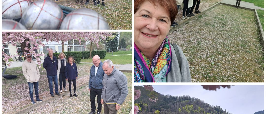 Vier Fotos von Menschen in einem Park unter Kirschblüten. Ein Foto zeigt eine Gruppe, die posiert, ein anderes eine lächelnde Frau. Andere Fotos zeigen Menschen, die Boule spielen, und zwei Männer, die bei einem Denkmal stehen.