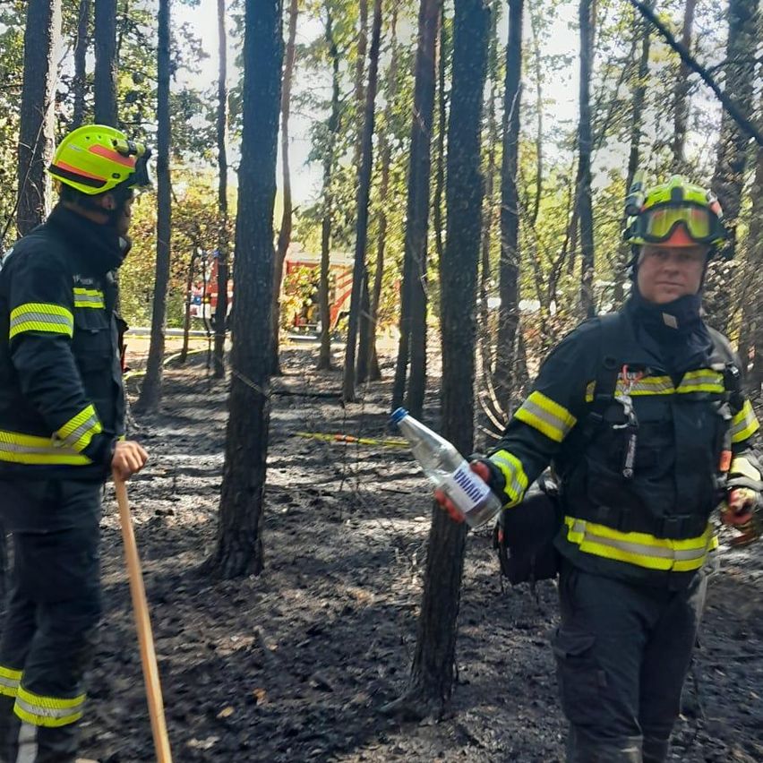 Zwei Feuerwehrleute in voller Ausrüstung stehen in einem verbrannten Wald, einer hält eine Flasche. Ein Feuerwehrwagen ist im Hintergrund zu sehen.
