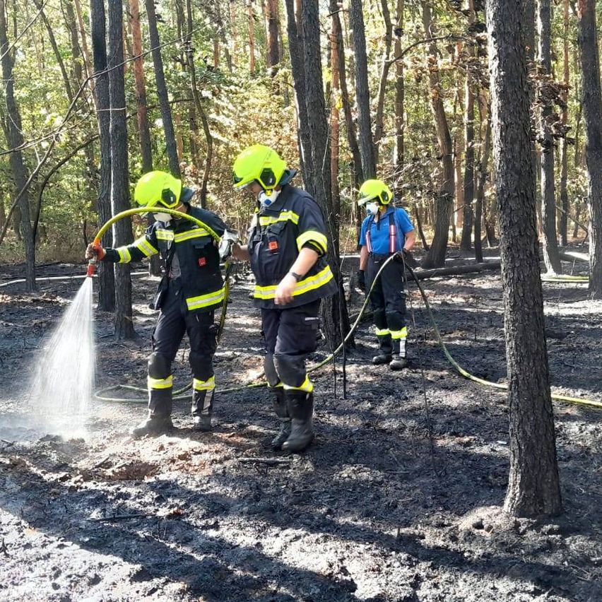 Drei Feuerwehrleute in Schutzkleidung arbeiten in einem verbrannten Waldgebiet, einer sprüht Wasser und die anderen halten Schläuche.