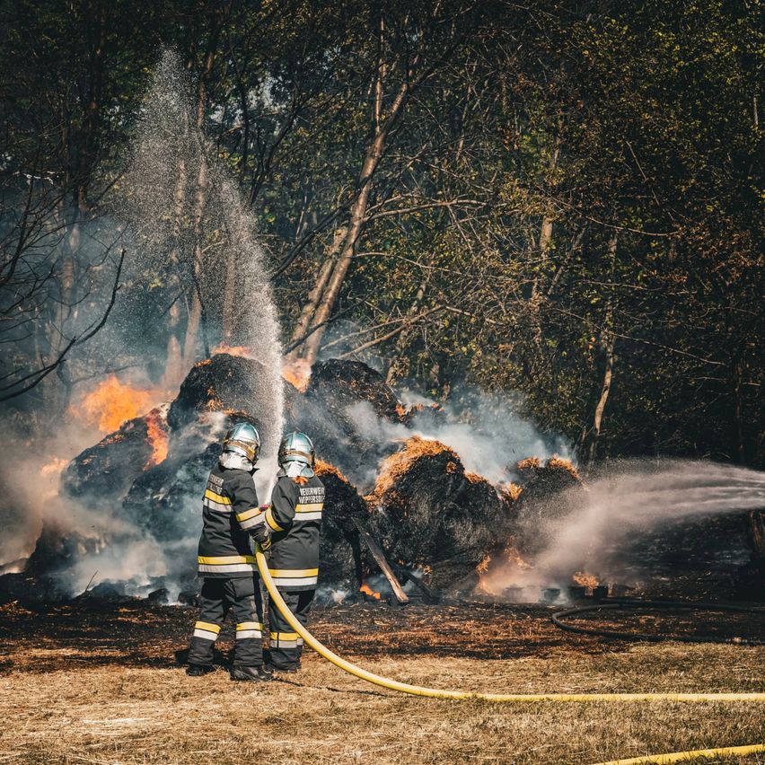 Zwei Feuerwehrleute bekämpfen einen Brand in einem Waldgebiet und spritzen Wasser aus einem Schlauch auf die Flammen.