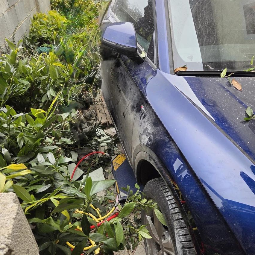 Ein blaues Auto ist an einer Wand geparkt, mit einigen Blättern und Zweigen an seiner Seite.