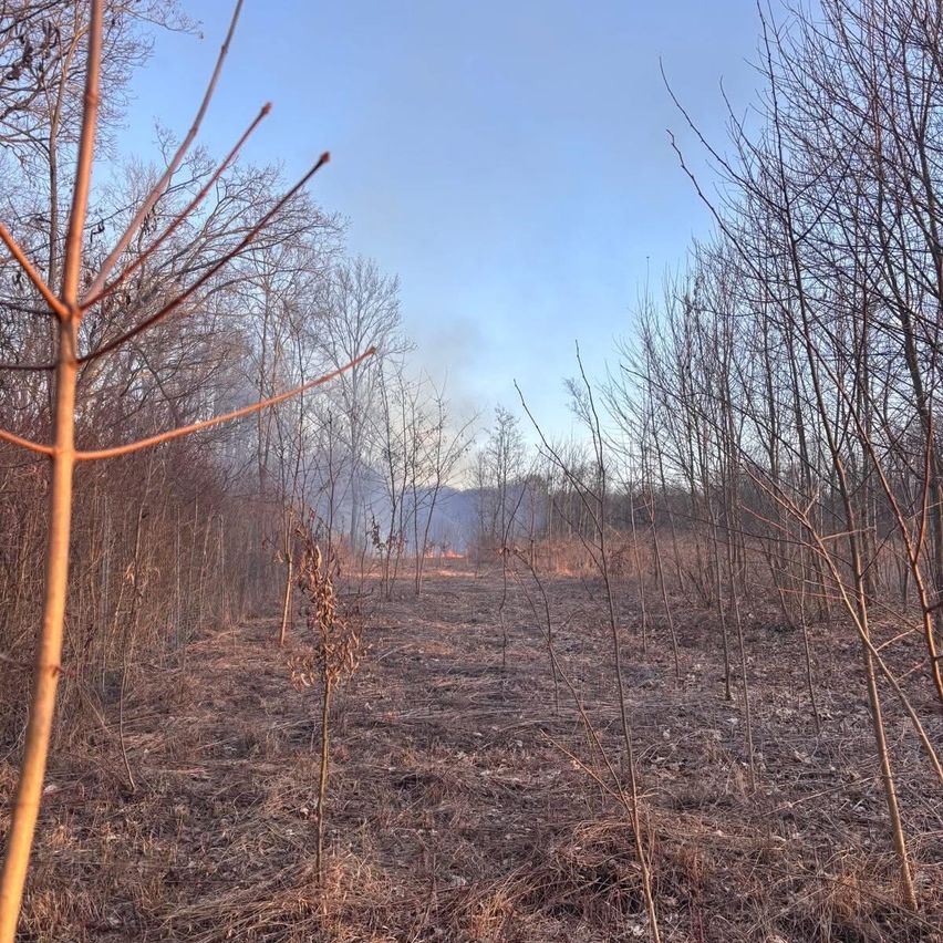 Ein breites, kahles Feld mit laublosen Bäumen, fernen Bergen und einem Rauchschwaden im Hintergrund.