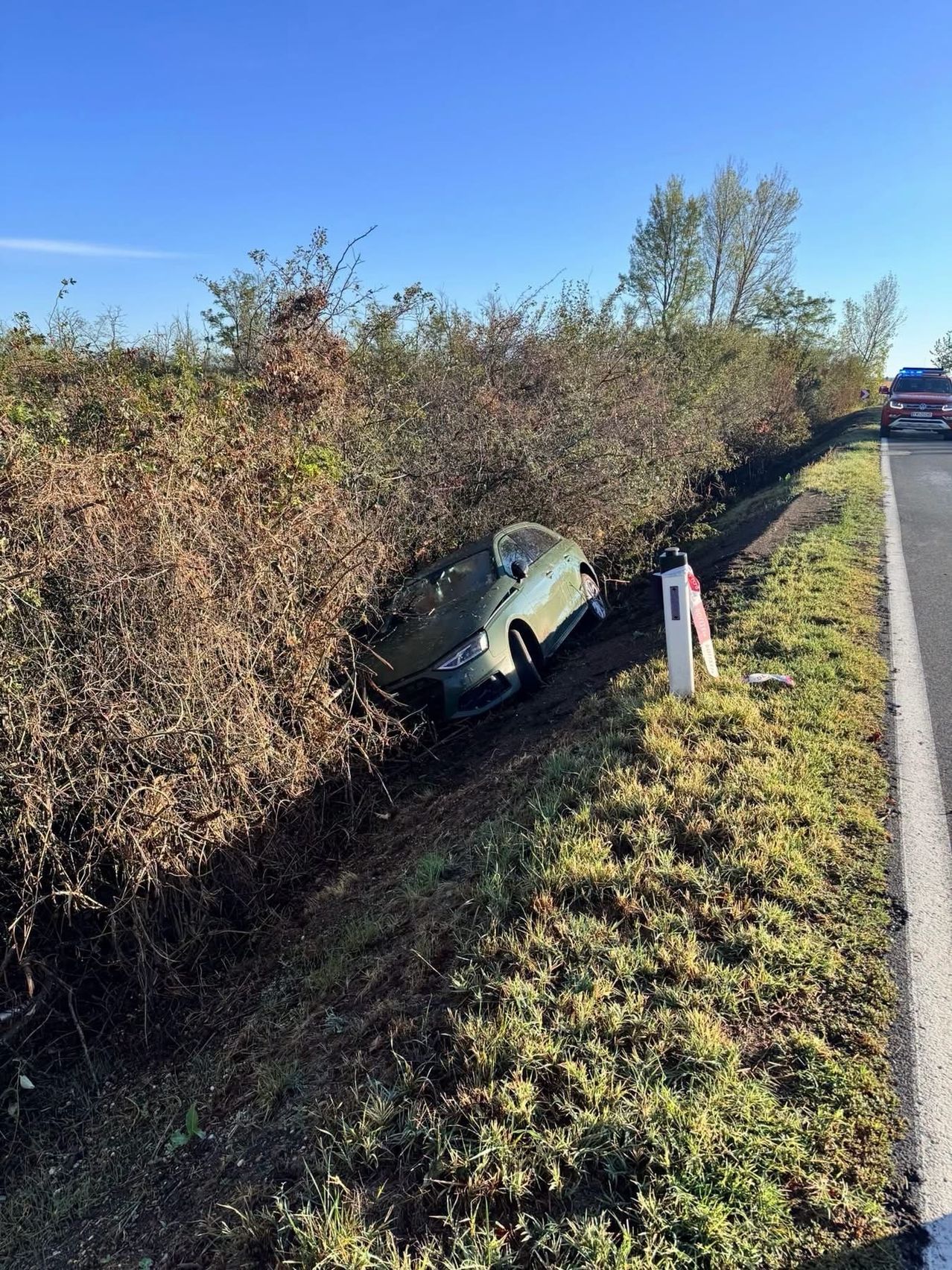 A green car is stuck in a bush on the side of a road, with a police car nearby.