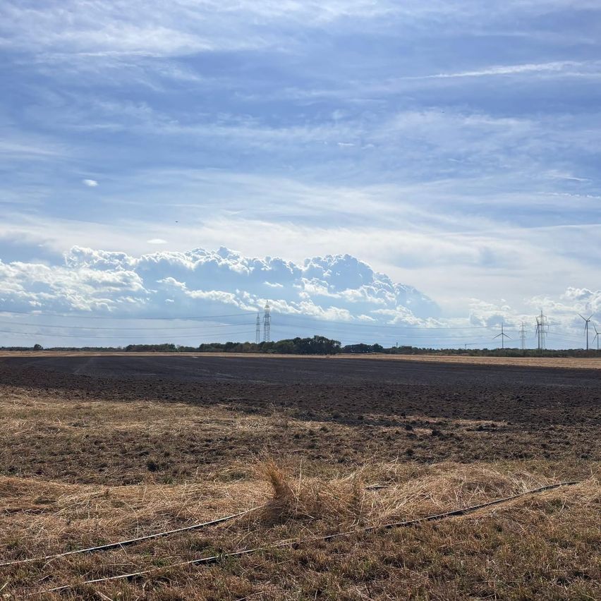 An open field with dry grass and a clear blue sky with scattered clouds. In the distance, power lines and wind turbines are visible.