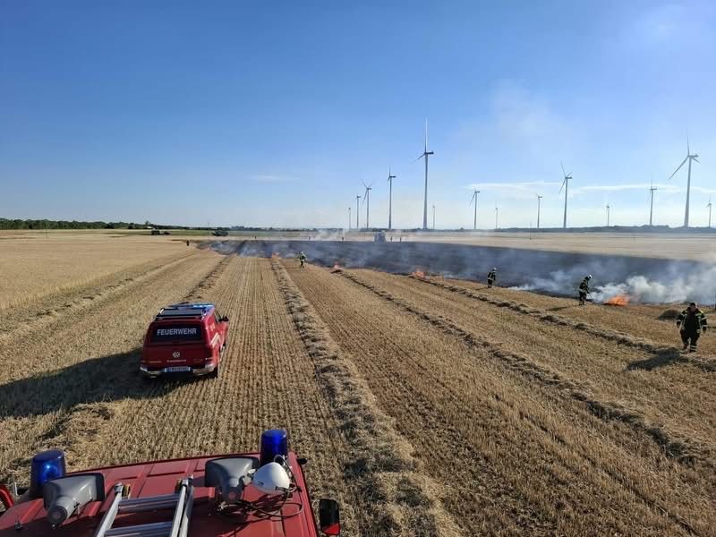 Feuerwehrleute reagieren auf eine kontrollierte Verbrennung auf einem Weizenfeld, mit Windrädern im Hintergrund. Ein Feuerwehrwagen ist auf dem Feld geparkt.
