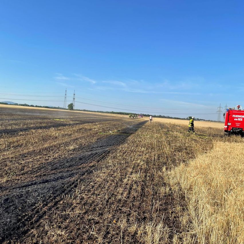 Feuerwehrleute reagieren auf einen Brand in einem trockenen Feld mit einem roten Lkw. Ein Feuerwehrmann steht mit einer Schlauchleitung bereit.