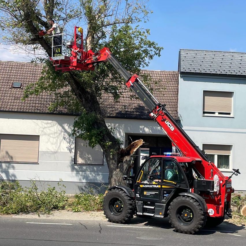 Ein roter Traktor mit einem Kran steht vor einem Haus, wobei ein Mann eine Motorsäge benutzt, um einen Baum zu schneiden.