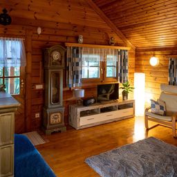 Bild enthält, Interior Design, Wood, Hardwood, Living Room, Rug, Chair, Stained Wood, Flooring, Plant, Lamp