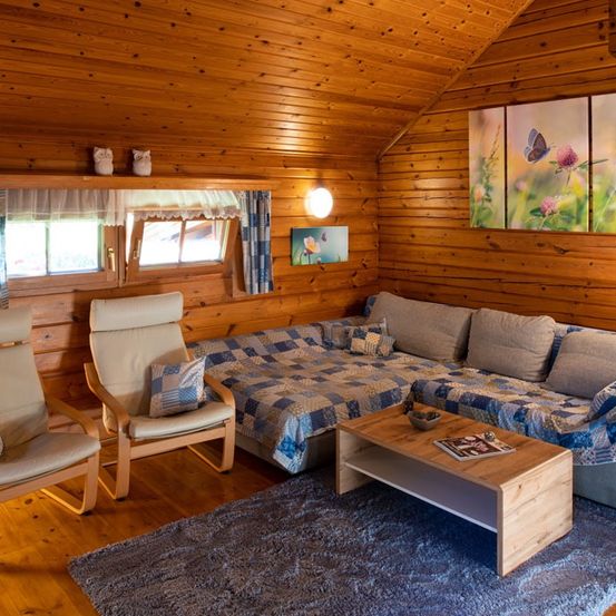 Bild enthält, Indoors, Interior Design, Wood, Hardwood, Stained Wood, Book, Chair, Rug, Shoe, Couch