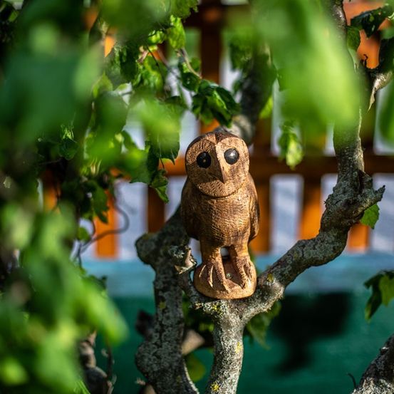 Bild enthält, Plant, Vegetation, Tree, Animal, Bird, Leaf, Cartoon