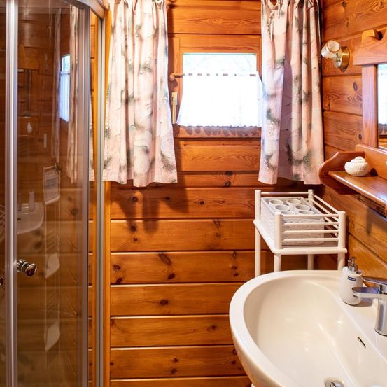 Bild enthält, Indoors, Interior Design, Wood, Sink, Hardwood, Sink Faucet, Stained Wood, Plywood, Plant