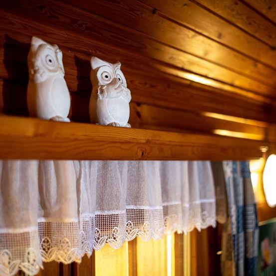 Bild enthält, Indoors, Interior Design, Wood, Hardwood, Animal, Bird, Chicken, Fowl, Poultry