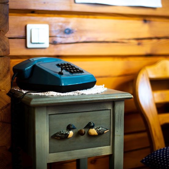 Bild enthält, Wood, Electronics, Phone, Indoors, Interior Design, Chair, Furniture, Hardwood, Switch, Bird