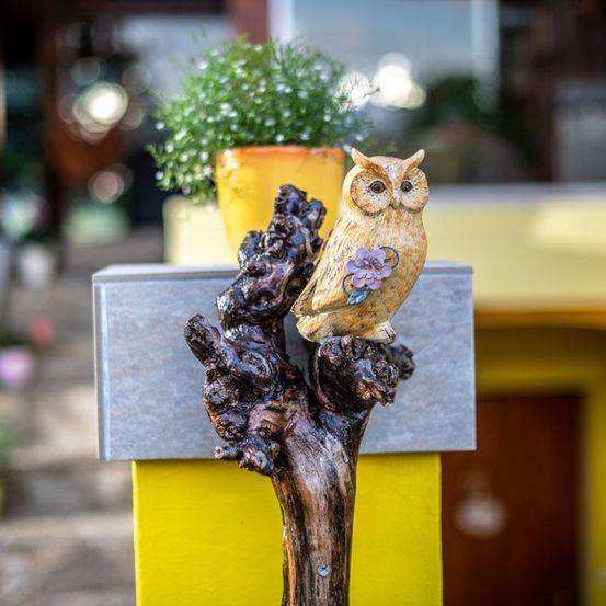 Bild enthält, Plant, Potted Plant, Animal, Bird, Beak, Planter, Pottery, Vase, Wood, Owl