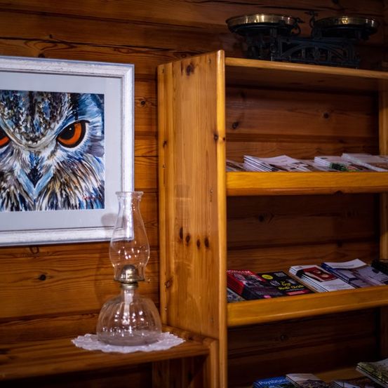 Bild enthält, Interior Design, Wood, Hardwood, Cupboard, Furniture, Stained Wood, Shelf, Bird, Painting, Cabinet