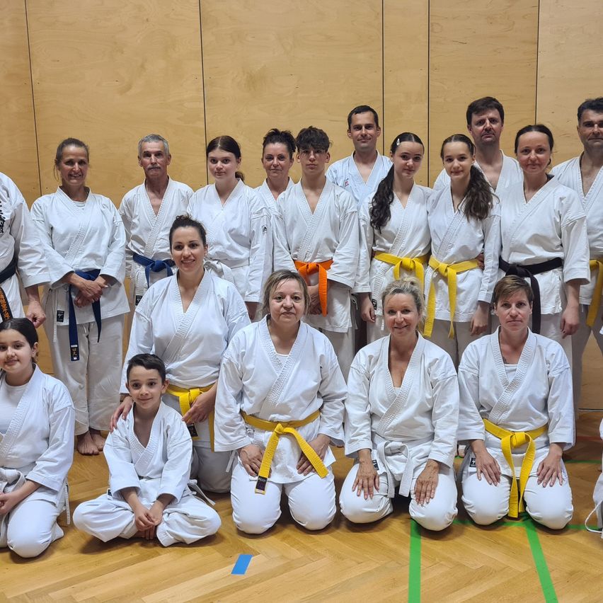 Bild enthält, People, Person, Adult, Female, Woman, Karate, Martial Arts, Male, Man, Groupshot