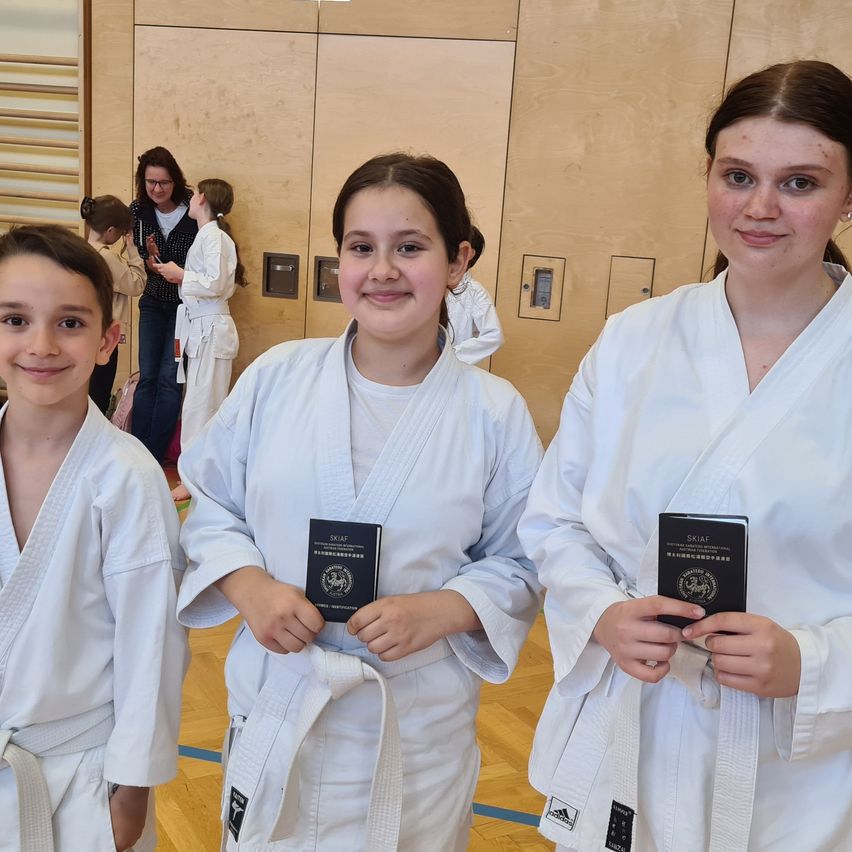 Bild enthält, Floor, Flooring, Wood, Karate, Martial Arts, Person, Hardwood, Adult, Female, Woman