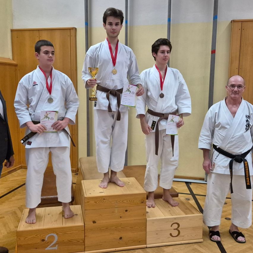 Bild enthält, Wood, Karate, Person, Hardwood, Flooring, Adult, Male, Man, Plywood, Jeans