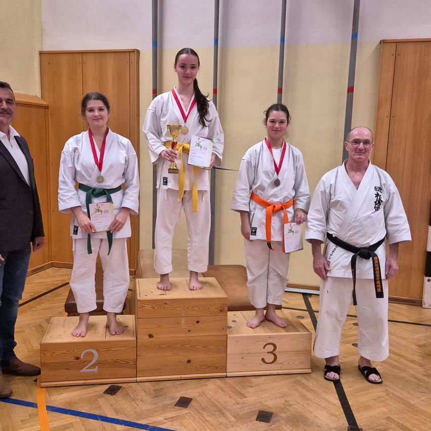 Bild enthält, Floor, Flooring, Wood, Hardwood, Adult, Male, Man, Person, Karate, Coat